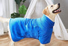 Snuggle and Dry: Efficient Ways to Get Your Wet Dog Warm and Cozy