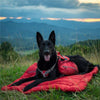 Load image into Gallery viewer, Outdoor Foldable Dog Mat | Waterproof Non-Slip Bed - Outdoor Foldable Dog Mat | Waterproof Non-Slip Bed - PetsLoveSurprises