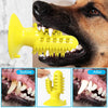 Cactus Chew Toy | Toothbrush Toy with Suction Cup - Cactus Chew Toy | Toothbrush Toy with Suction Cup - PetsLoveSurprises