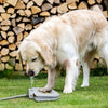Outdoor Fresh Water Fountain | Easy Step On - Outdoor Fresh Water Fountain | Easy Step On - PetsLoveSurprises