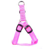 Load image into Gallery viewer, LED Dog Safety Harness | High-Visibility Flashing Light - PetsLoveSurprises