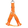 Load image into Gallery viewer, LED Dog Safety Harness | High-Visibility Flashing Light - PetsLoveSurprises
