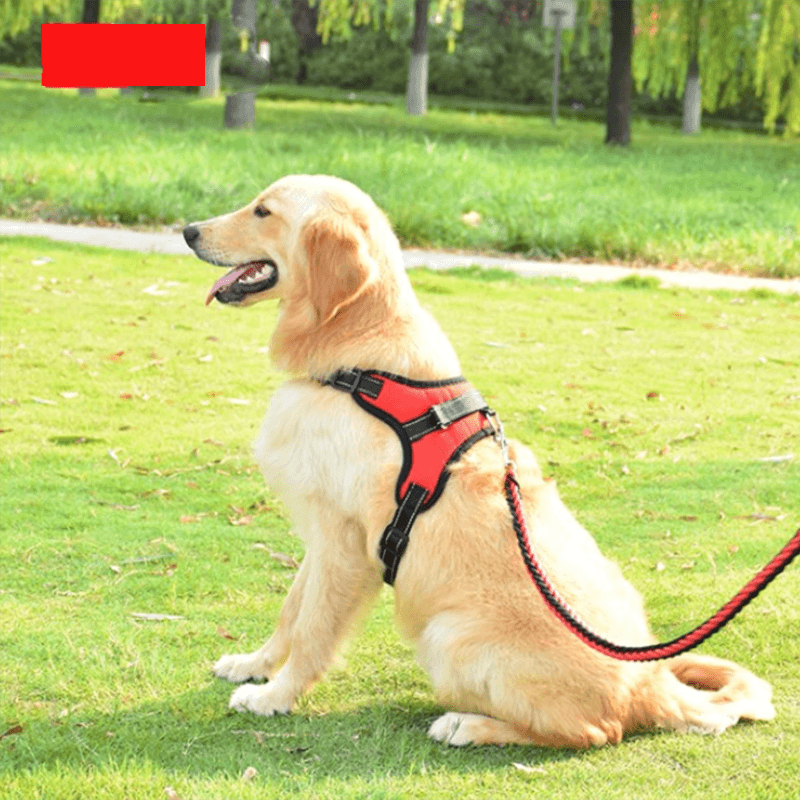 FURwear™ Padded Nylon No Pull Dog Harness | Adjustable, Reflective & Breathable - FURwear™ Padded Nylon No Pull Dog Harness | Adjustable, Reflective & Breathable - PetsLoveSurprises