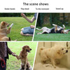 4-in-1 Dog Training Set | Reward, Train, Play - 4-in-1 Dog Training Set | Reward, Train, Play - PetsLoveSurprises