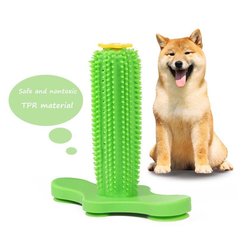 Vertical Toothbrush | Chew Toy for Dental Care & Fun - Vertical Toothbrush | Chew Toy for Dental Care & Fun - PetsLoveSurprises-com