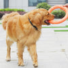 Dog Flying Ring | Chew Outdoor Toy - Dog Flying Ring | Chew Outdoor Toy - PetsLoveSurprises