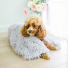 Load image into Gallery viewer, Fluffy Pet Blanket | Extra Soft and Warm Fleece - Fluffy Pet Blanket | Extra Soft and Warm Fleece - PetsLoveSurprises
